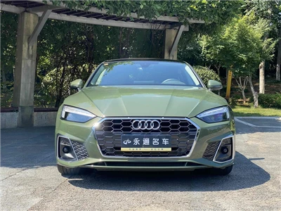 Audi2023 Audi A5 Sportback 40 TFSI Moderan sportski